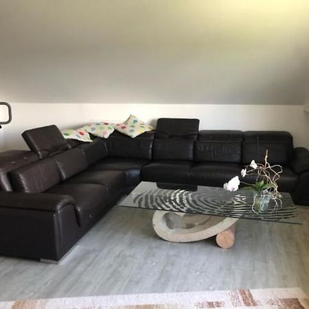 Ferienwohnung-Ameisenhardt Schleiden Exteriör bild
